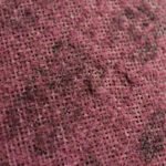 3M Scotch-Brite Maroon 100mm x 16mm Conditioning Disc 25pk